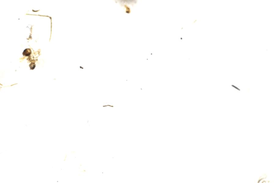 Image 54
